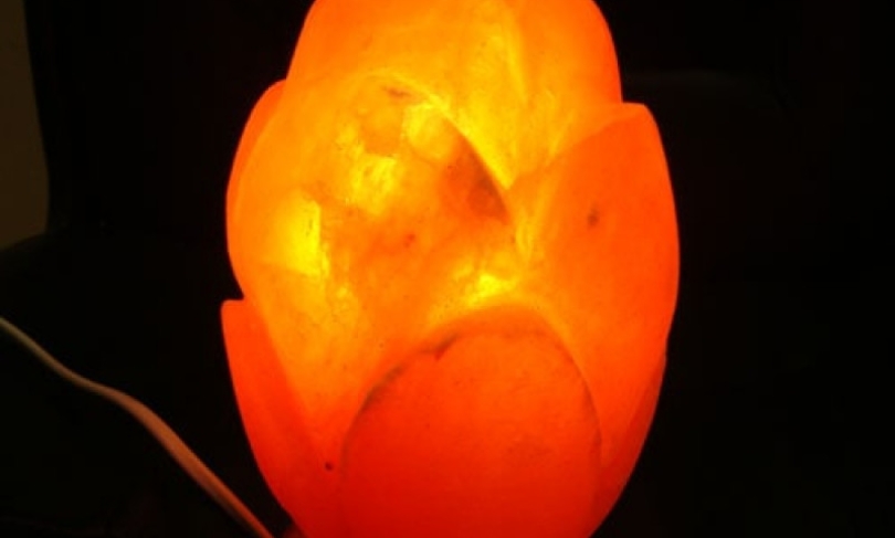 Солевая лампа Тюльпан